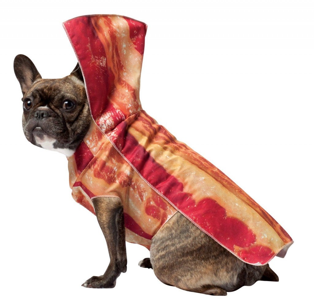 bacon-pet-costume-